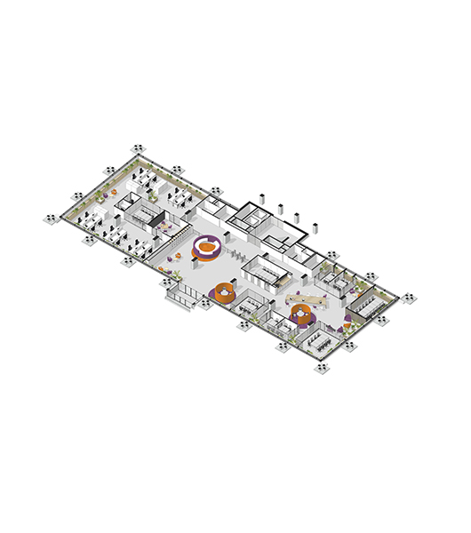 Competition Illustration